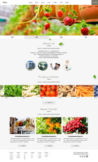 奔唐網絡網站建設案例 農副產品官網